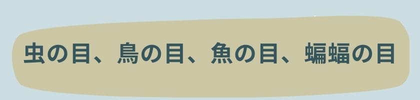 虫の目、鳥の目、魚の目、コウモリの目