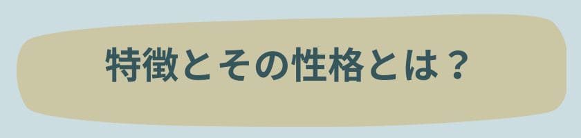 特徴とその性格とは?
