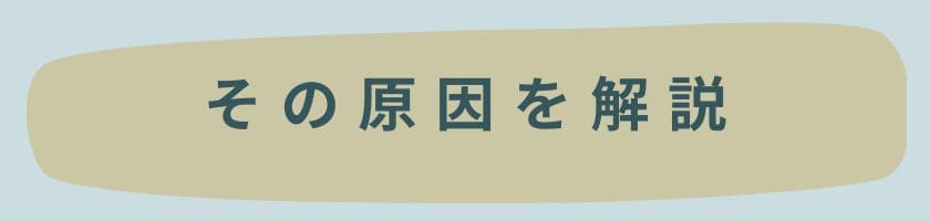 その原因を解説