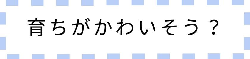なぜ?育ちがかわいそうと言われる訳